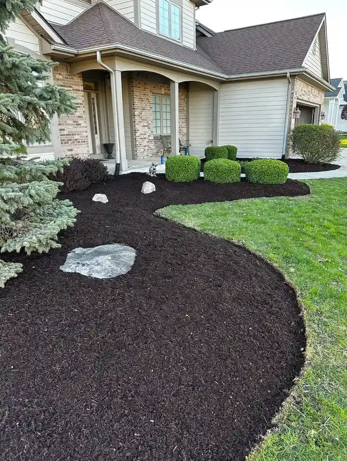 Beautiful landscaped yard 12