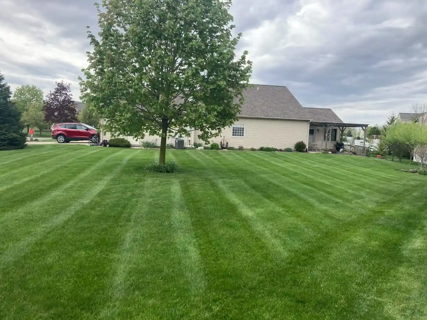 Beautiful landscaped yard 2