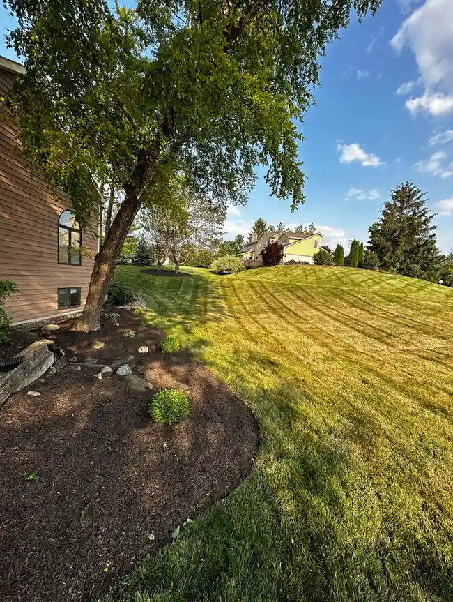 Beautiful landscaped yard 4