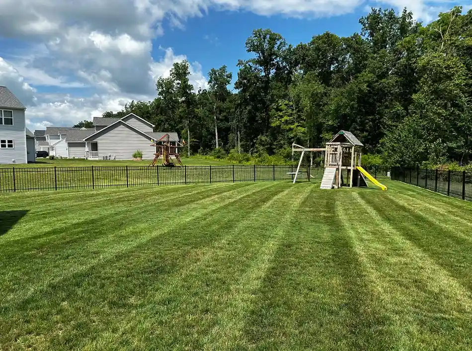 Beautiful landscaped yard 5