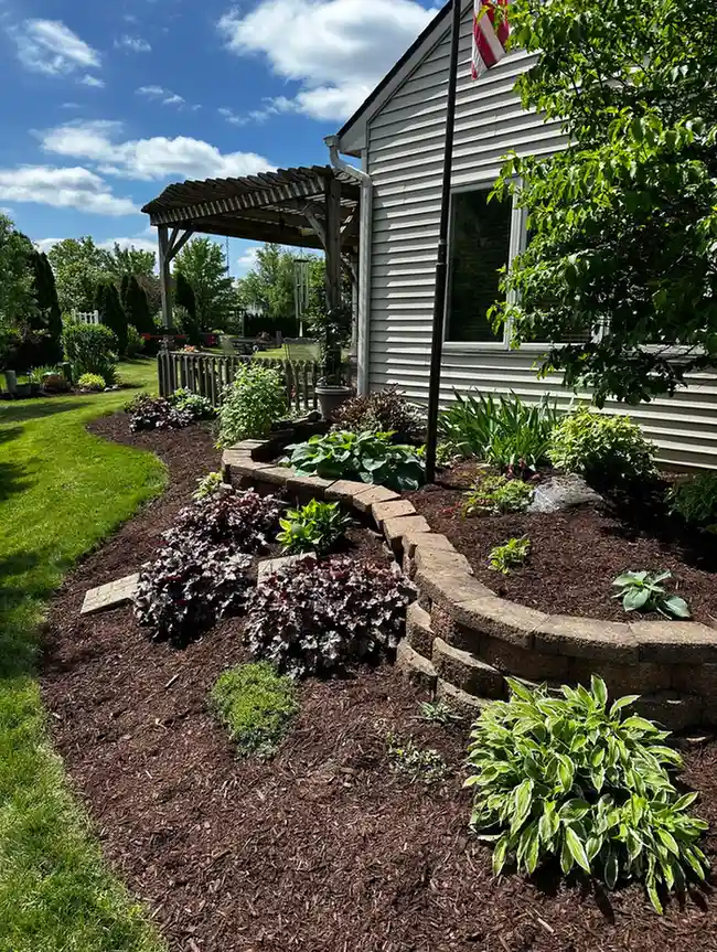 Beautiful landscaped yard 6
