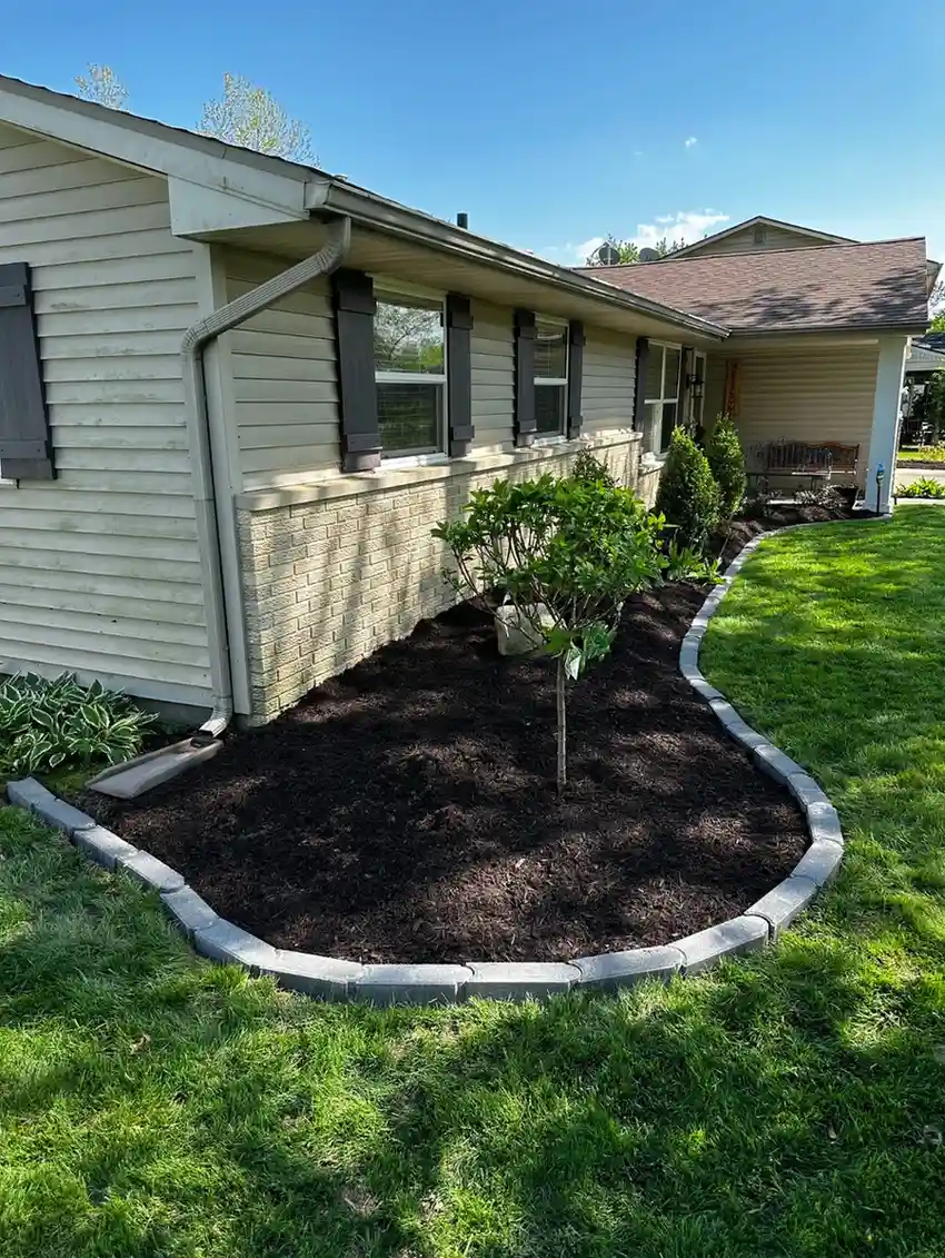 Beautiful landscaped yard 9